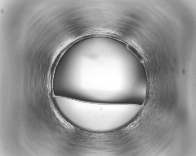 X0000088201128200705151306