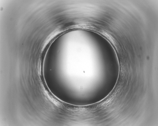 X0000088201131200705151306