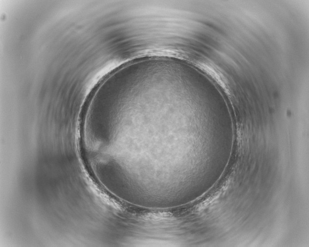 X0000088201133200705151306