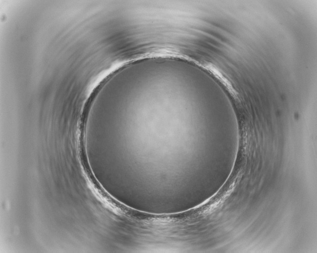 X0000088201134200705151306