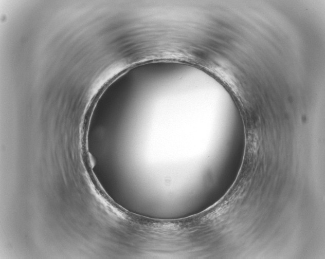 X0000088201135200705151306