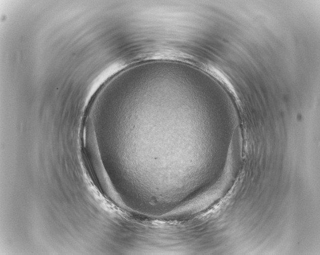 X0000088201138200705151306