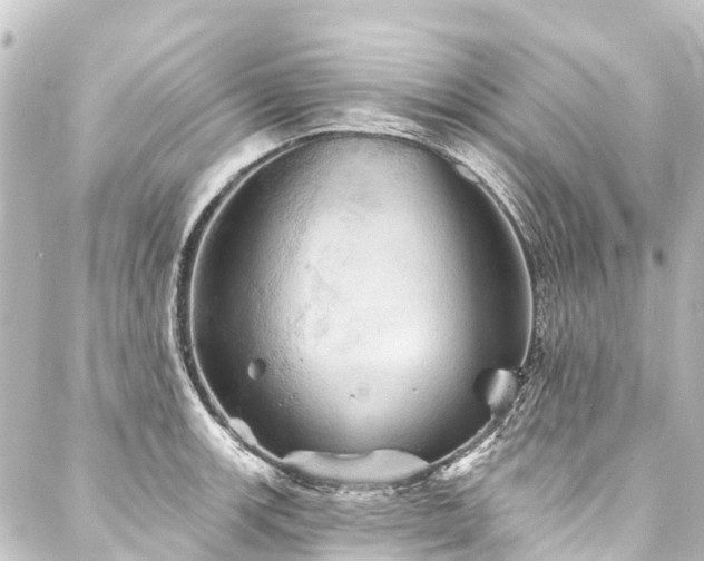 X0000088201139200705151306