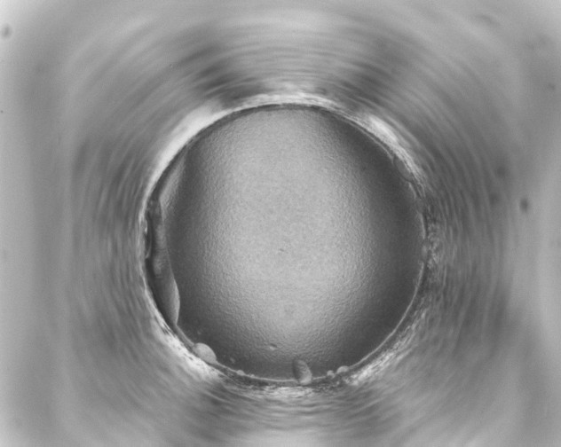 X0000088201140200705151306