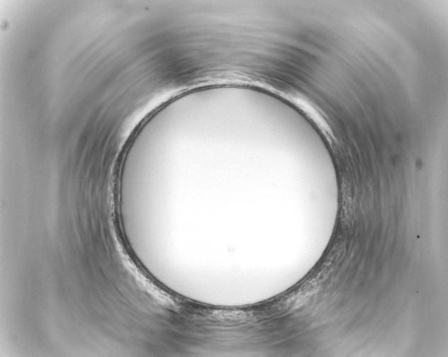 X0000088201142200705151306