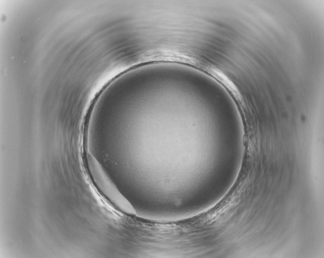 X0000088201144200705151306