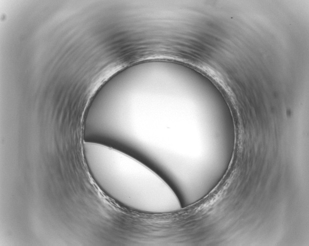 X0000088201145200705151306