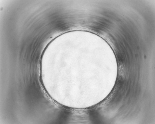 X0000088201150200705151306