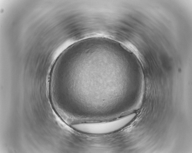 X0000088201151200705151306