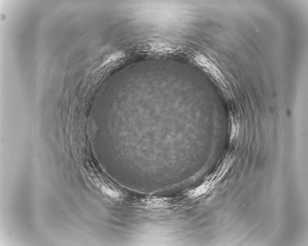 X0000088201153200705151306