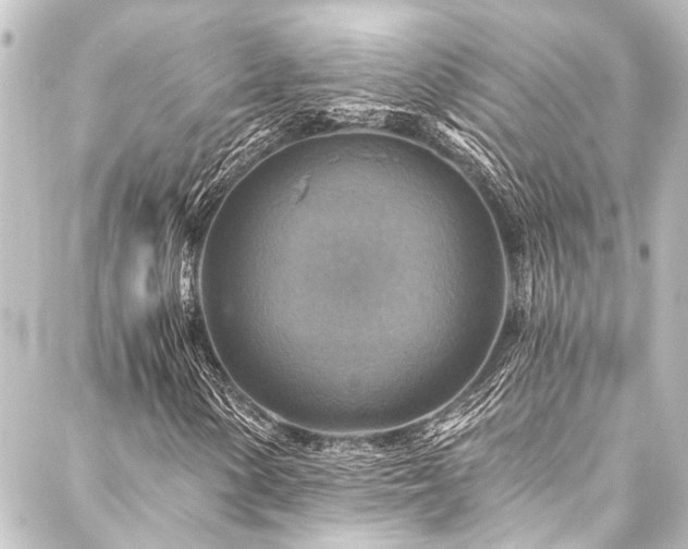 X0000088201154200705151306