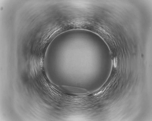 X0000088201155200705151306
