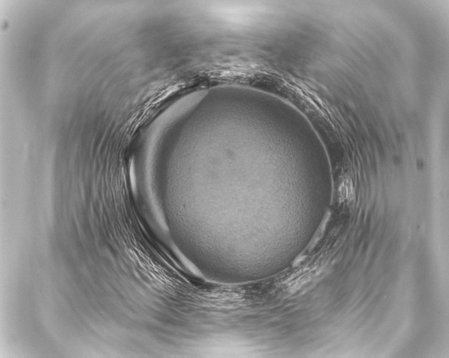 X0000088201156200705151305