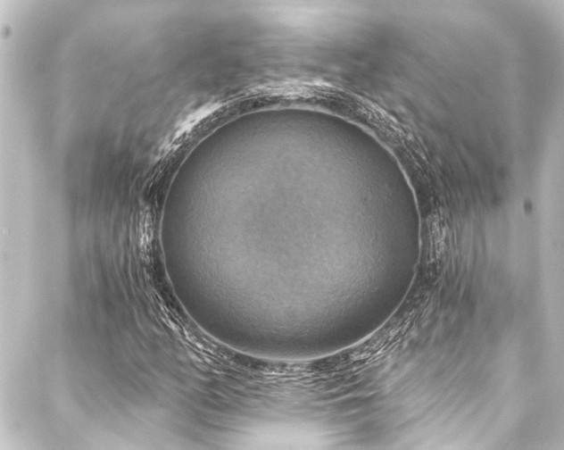 X0000088201158200705151305