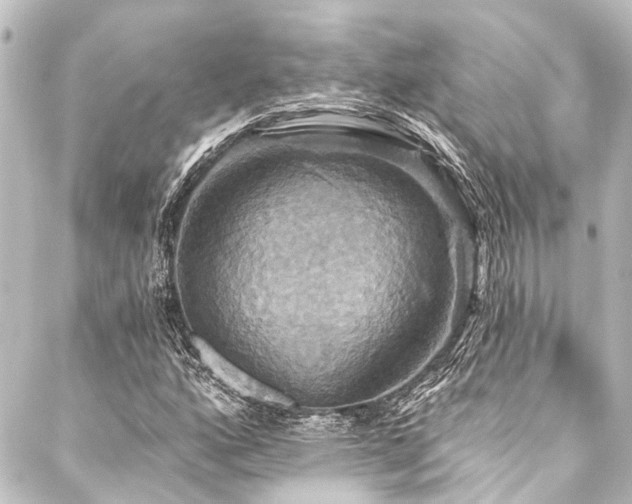 X0000088201160200705151305