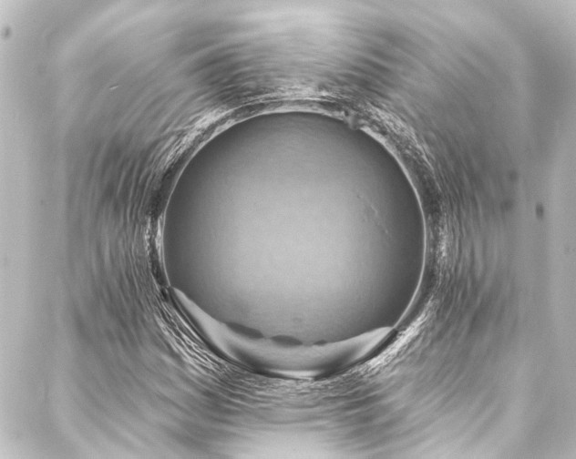 X0000088201161200705151305