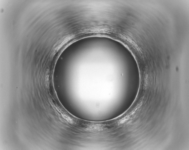 X0000088201162200705151305