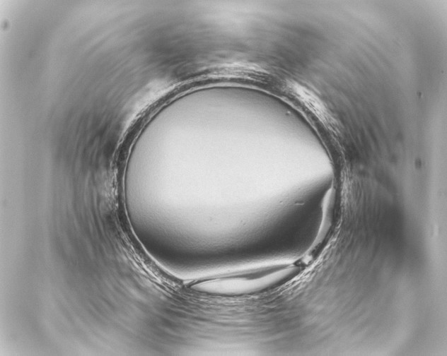X0000088201164200705151305