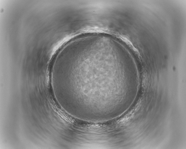 X0000088201167200705151305