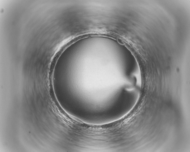 X0000088201168200705151305