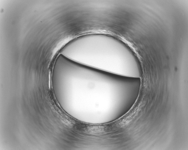 X0000088201171200705151305
