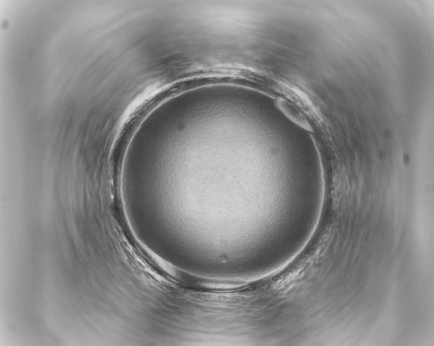 X0000088201172200705151305
