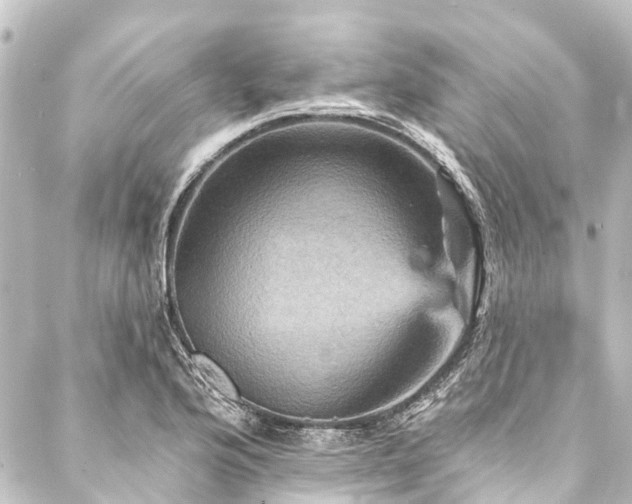 X0000088201176200705151305