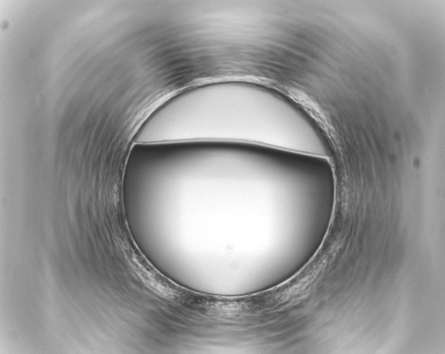 X0000088201177200705151305