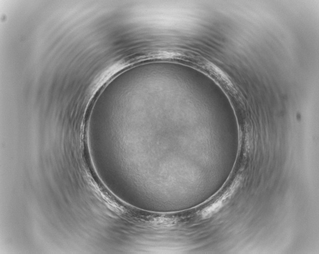 X0000088201178200705151305
