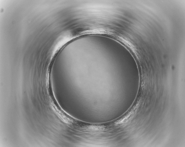 X0000088201179200705151305
