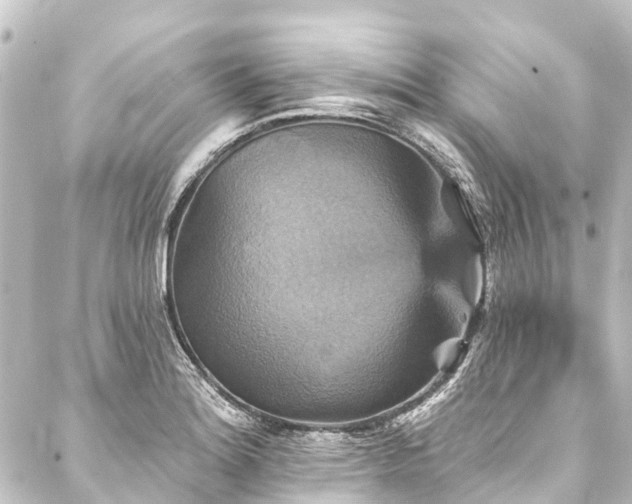 X0000088201180200705151305