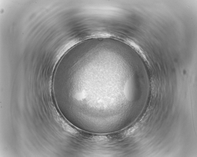 X0000088201186200705151305