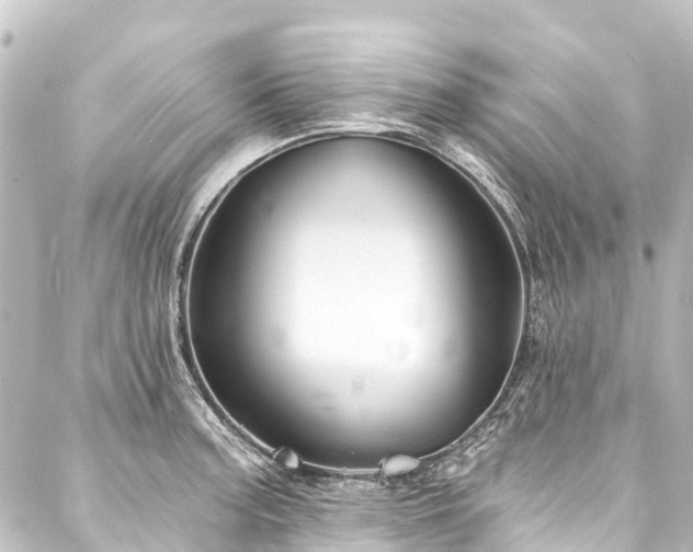 X0000088201187200705151305