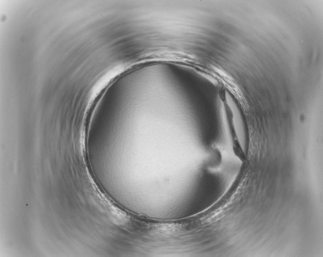 X0000088201188200705151305