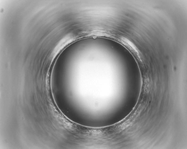 X0000088201190200705151305