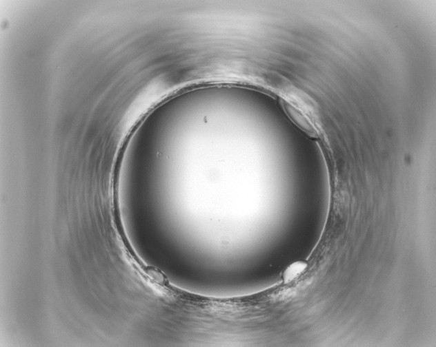 X0000088201191200705151305