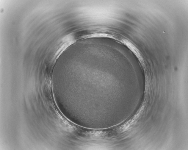 X0000088201193200705151305
