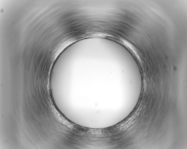 X0000088201194200705151305