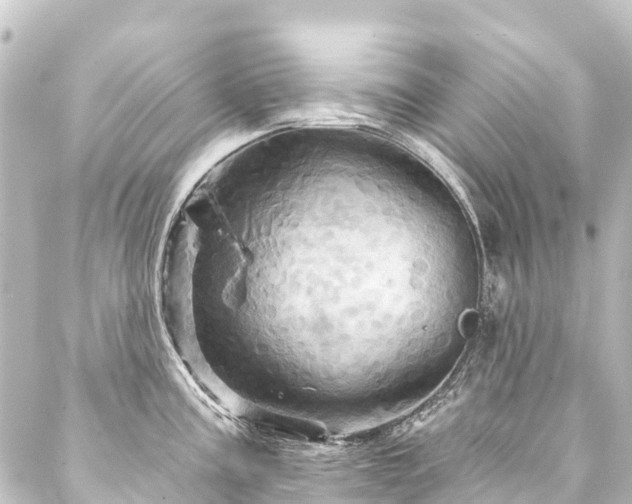 X0000088201195200705151305