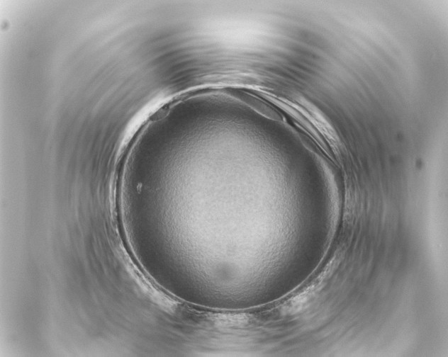 X0000088201196200705151305