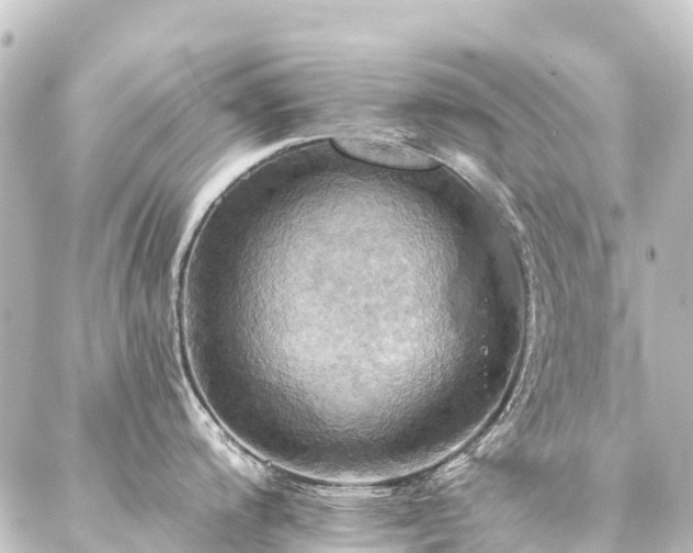 X0000088201200200705151305