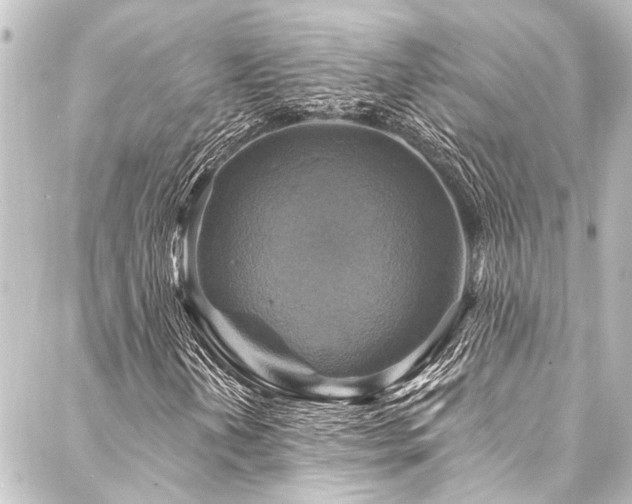 X0000088201202200705151304