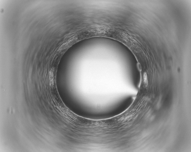 X0000088201203200705151304