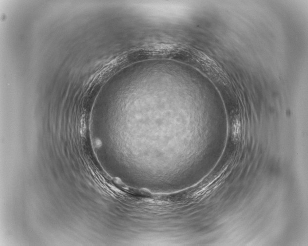 X0000088201204200705151304