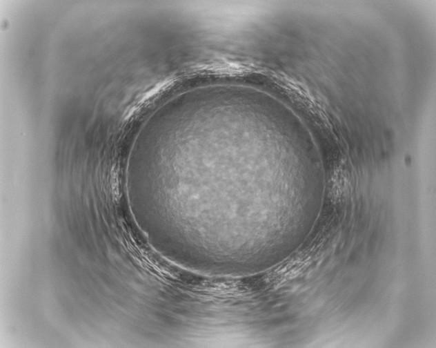 X0000088201205200705151304