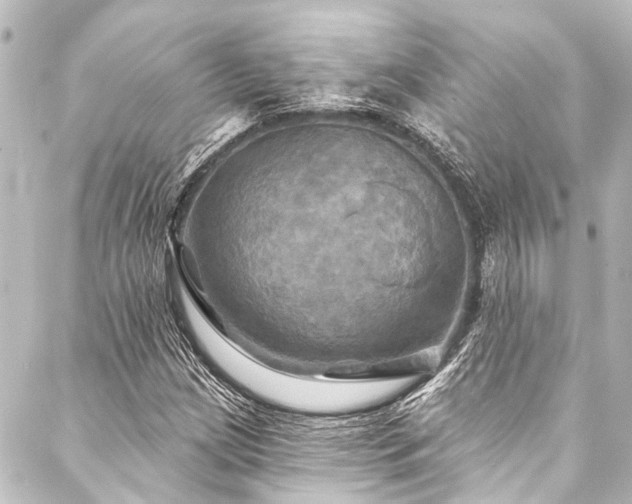 X0000088201209200705151304