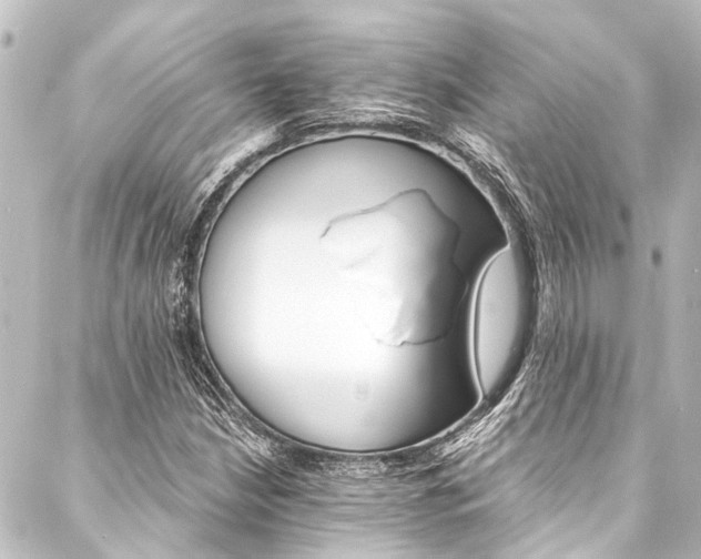 X0000088201210200705151304