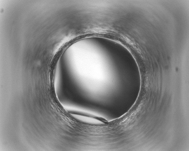 X0000088201214200705151304