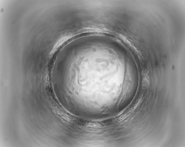 X0000088201215200705151304