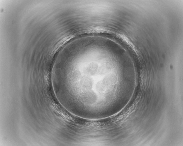 X0000088201217200705151304